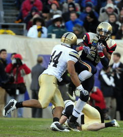 星空体育平台-体育新闻中心独家人物专访,体育新闻的主持人是谁