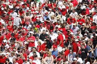 星空体育最新下载-体育新闻中心快讯榜单刷新,体育新闻 体坛快讯